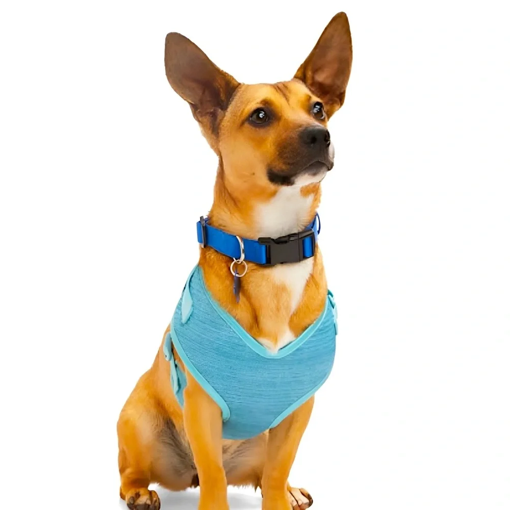 EVERY YAY Comfy Padded Mesh No-Pull Turquoise Teal Blue Dog Harness 🐶MEDIUM🐶 NWT